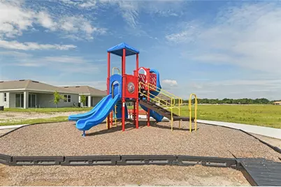 216 Flag Lilly Lane, Umatilla, FL 32784 - Photo 23