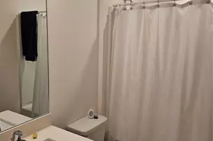 2309 Rio Grande Forest Ln, Kissimmee, FL 34759 - Photo 11