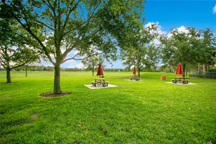 4918 Wildwood Pointe Rd, Winter Garden, FL 34787 - Photo 25