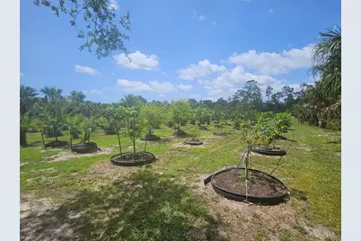 21910 Taylor Drive, Bradenton, FL 34211 - Photo 9