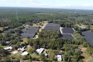 190 Dickie Ln, Pierson, FL 32180 - Photo 29