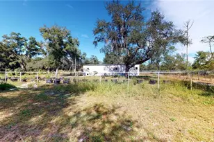 190 Dickie Ln, Pierson, FL 32180 - Photo 33