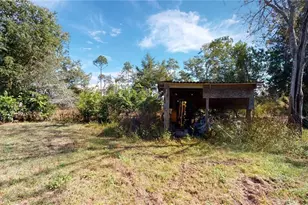 190 Dickie Ln, Pierson, FL 32180 - Photo 31
