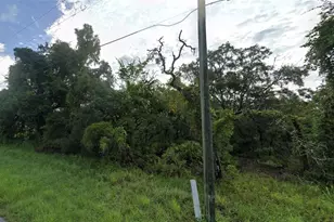 Little Gull Rd, Brooksville, FL 34614 - Photo 1