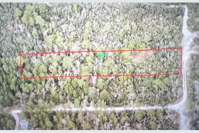 795 4th Street E, Osteen, FL 32764 - Photo 1