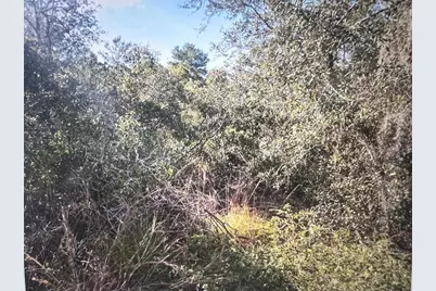 795 4th Street E, Osteen, FL 32764 - Photo 5