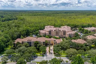 502 Mirasol Cir, Celebration, FL 34747 - Photo 75