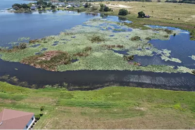 116 N Caladium Avenue, Lake Alfred, FL 33850 - Photo 9