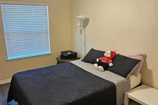 9637 Silver Buttonwood St, Orlando, FL 32832 - Photo 13