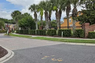 9637 Silver Buttonwood St, Orlando, FL 32832 - Photo 19