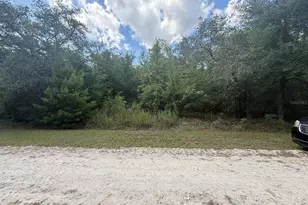 Tbd 98th St, Dunnellon, FL 34432 - Photo 1