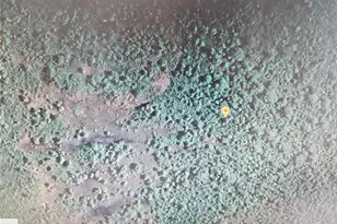 Holopaw Groves Rd, Saint Cloud, FL 34771 - Photo 1