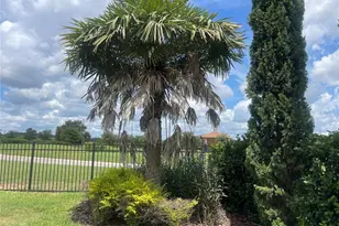 1140 Trappers Trail Loop, Davenport, FL 33896 - Photo 89