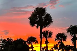 3407 Santa Monica Dr, Orlando, FL 32822 - Photo 33