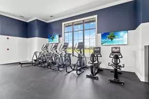 6895 Audobon Osprey Cv, Harmony, FL 34773 - Photo 9