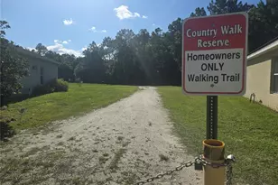 10722 Clover Walk Dr, Orlando, FL 32825 - Photo 75