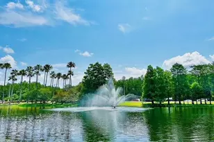 13500 Turtle Marsh Loop, Orlando, FL 32837 - Photo 27