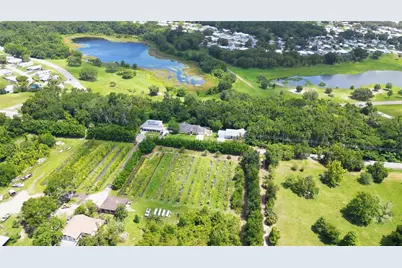 3805 Cohen Drive, Zellwood, FL 32798 - Photo 3