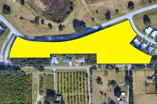 3805 Cohen Dr, Zellwood, FL 32798 - Photo 1