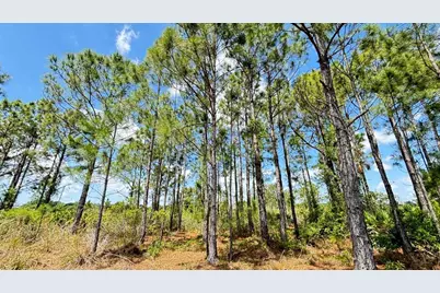 18121 NW 304th Street, Okeechobee, FL 34972 - Photo 3