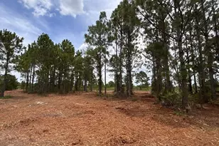 18121 NW 304th St, Okeechobee, FL 34972 - Photo 1