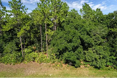 6733 N Nantucket Way, Dunnellon, FL 34434 - Photo 3