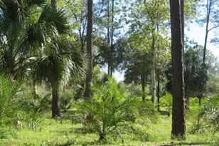 222 Vireo Ave, Sebring, FL 33870 - Photo 1