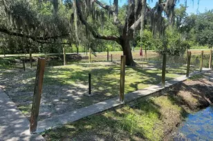 1008 Universal Rest Pl, Kissimmee, FL 34744 - Photo 27