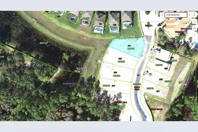 1206 Butterfly Orchid Road, Davenport, FL 33837 - Photo 3