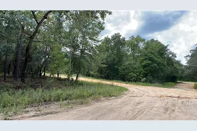 00 Kennedy Avenue, Interlachen, FL 32148 - Photo 3