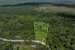 2641 Bear Run S, Frostproof, FL 33843 - Photo 1