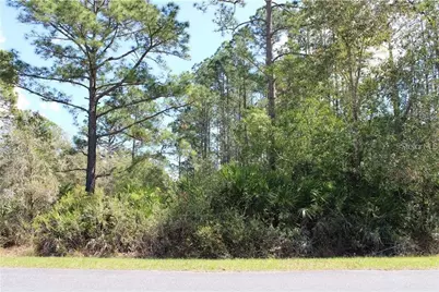 Cashew Street, Eustis, FL 32736 - Photo 1