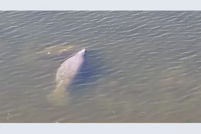 6035 Sea Ranch Drive #508, Hudson, FL 34667 - Photo 51