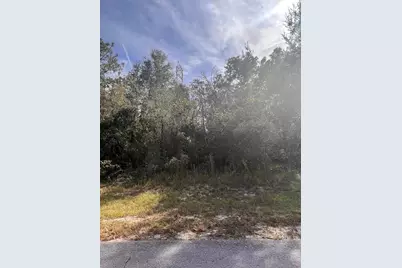 2430 SW 168 Loop Loop, Ocala, FL 34473 - Photo 3