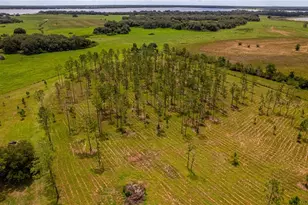 2360 Live Oak Lake Rd, Saint Cloud, FL 34771 - Photo 7