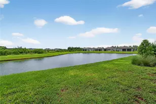 5500 Blue Crush Bend, Land O Lakes, FL 34638 - Photo 45