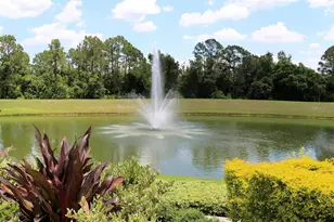 8526 Sunrise Key Dr, Kissimmee, FL 34747 - Photo 55