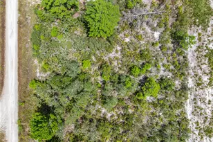 1524 Barn Owl St, Sebring, FL 33870 - Photo 27