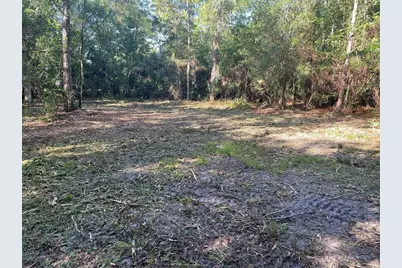 3165 Stewart Boulevard, Kissimmee, FL 34746 - Photo 5