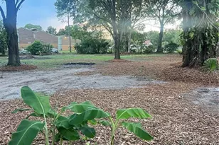 317 26th St SW, Winter Haven, FL 33880 - Photo 33