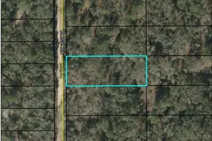 00, Jasper, FL 32052 - Photo 1