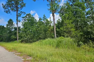 6834 Virtudes St, Sebring, FL 33872 - Photo 5