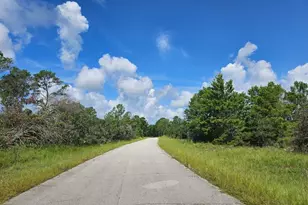 6840 Virtudes St, Sebring, FL 33872 - Photo 3