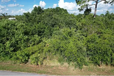 219 Boren Avenue, Lake Placid, FL 33852 - Photo 3