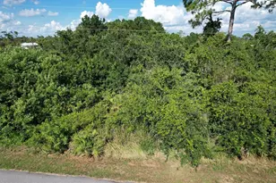 219 Boren Ave, Lake Placid, FL 33852 - Photo 3