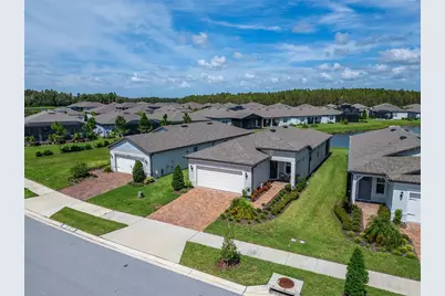 6110 Shorebird Branch, Land O Lakes, FL 34638 - Photo 41