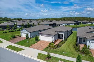 6110 Shorebird Br, Land O Lakes, FL 34638 - Photo 41