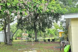 834 Donnelly St, Eustis, FL 32726 - Photo 9