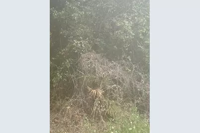 Se 105 Place, Ocklawaha, FL 32179 - Photo 1