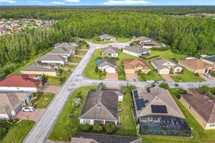 428 Bel Air Way, Kissimmee, FL 34759 - Photo 53